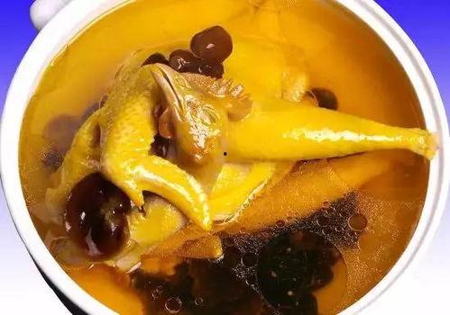 娱乐吃瓜酱鸡汤视频大全,鸡汤视频大全，暖心治愈你的日常